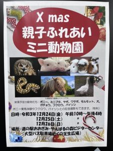 クリスマス親子ふれあいミニ動物園 @ やんばるの森　ビジターセンター | 大宜味村 | 沖縄県 | 日本